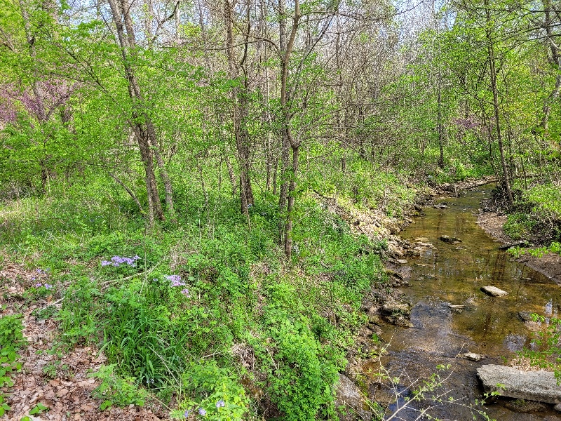 B r e a k f a s t   T o u r   S t o p o v e r   A t   M u d l a v i a   