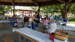 Picnic At Columbian Park In Lafayette, Indiana